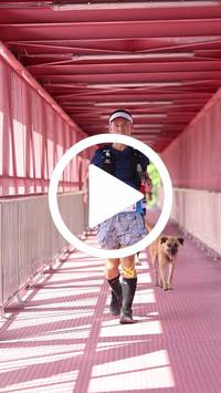 BIB:  <button type="button" onclick="openModal(27537762)" class="btn btn-primary btn-sm float-right" data-toggle="modal" data-target=".modal-high-quality">
                <i class="fa fa-download"></i> Download
                </button>